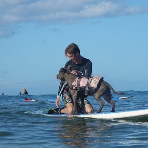 Meet your Posher, Ryan - Picture 1 of 1